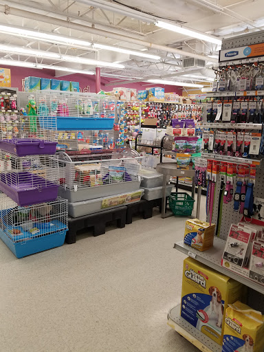 Pet Store «Petland Plano», reviews and photos, 1301 Custer Rd #405, Plano, TX 75075, USA