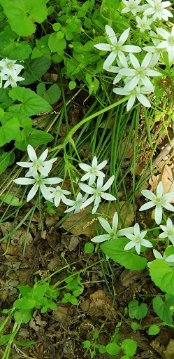 Park «Hocker Park», reviews and photos, Blue Mountain Pkwy, Harrisburg, PA 17112, USA