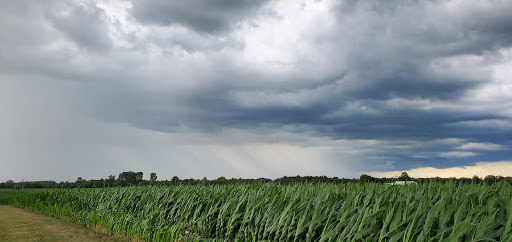 Grocery Store «Meijer», reviews and photos, 930 Colemans Crossing Blvd, Marysville, OH 43040, USA
