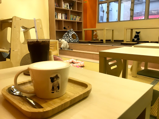 貓咖啡館 深圳