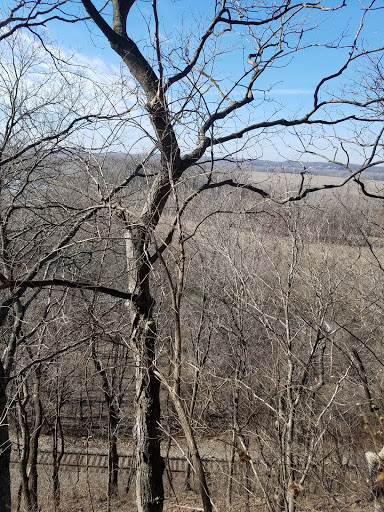 Nature Preserve «Engelmann Woods Natural Area», reviews and photos, 2360 Hwy D, Boles Township, MO 63304, USA