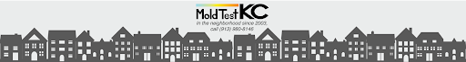 Mold Test KC