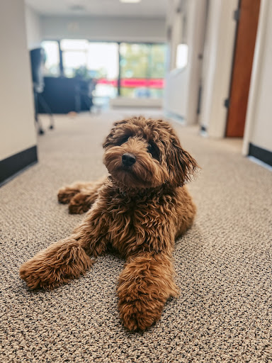 Insurance Agency «Andrew Kennedy - State Farm Insurance Agent», reviews and photos