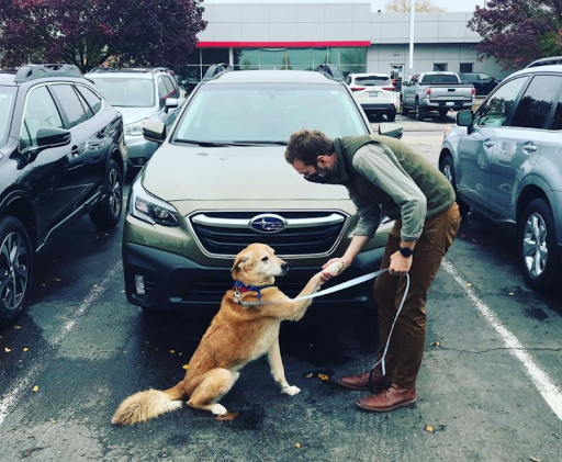 Subaru Dealer «Dunning Subaru», reviews and photos, 3771 Jackson Rd, Ann Arbor, MI 48103, USA