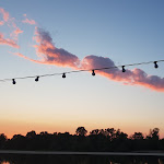 Photo n° 4 de l'avis de Nicolas.o fait le 22/08/2018 à 20:33 pour Sauvage à Chargé