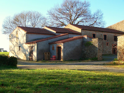 Bois de la Noé à Bouaye