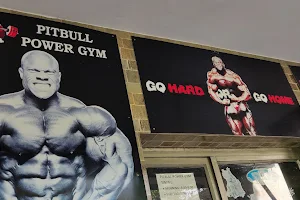 Pitbull Gym image