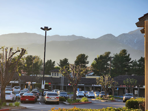 Vons image