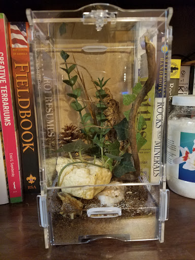 Craft Store «Michaels», reviews and photos, 1206 Bridford Pkwy C, Greensboro, NC 27407, USA