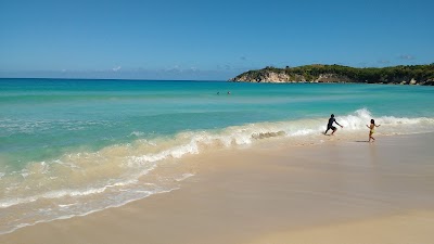 Photos of SURF SCHOOL PUNTA CANA