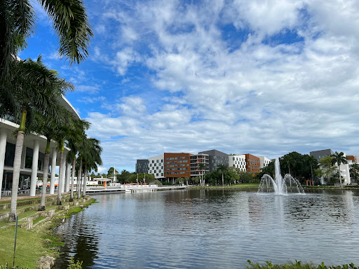 Universidad de Miami