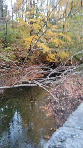 Golf Course «Cherokee Golf Course», reviews and photos, 2501 Alexander Rd, Louisville, KY 40204, USA