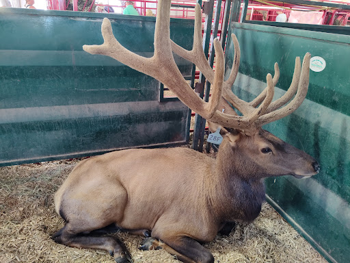 Fairground «Iowa State Fairgrounds», reviews and photos, E University Ave & E 30th St, Des Moines, IA 50317, USA