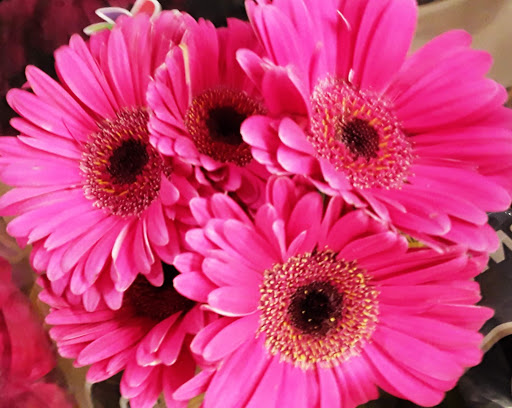 Grocery Store «Giant Food Stores», reviews and photos, 202 Chestnut St, Coplay, PA 18037, USA