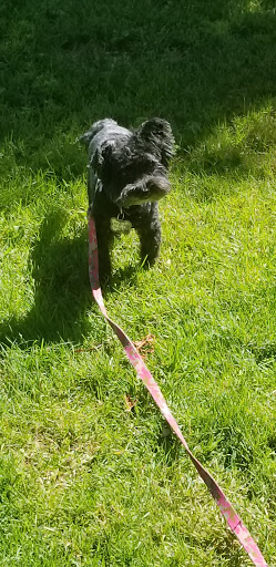 Pet Supply Store «Pet Supplies Plus», reviews and photos, 4808 Ridge Rd, Brooklyn, OH 44144, USA