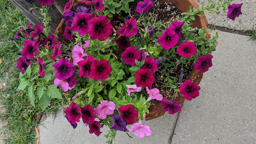 Ice Cream Shop «Washtenaw Dairy», reviews and photos, 602 S Ashley St, Ann Arbor, MI 48103, USA