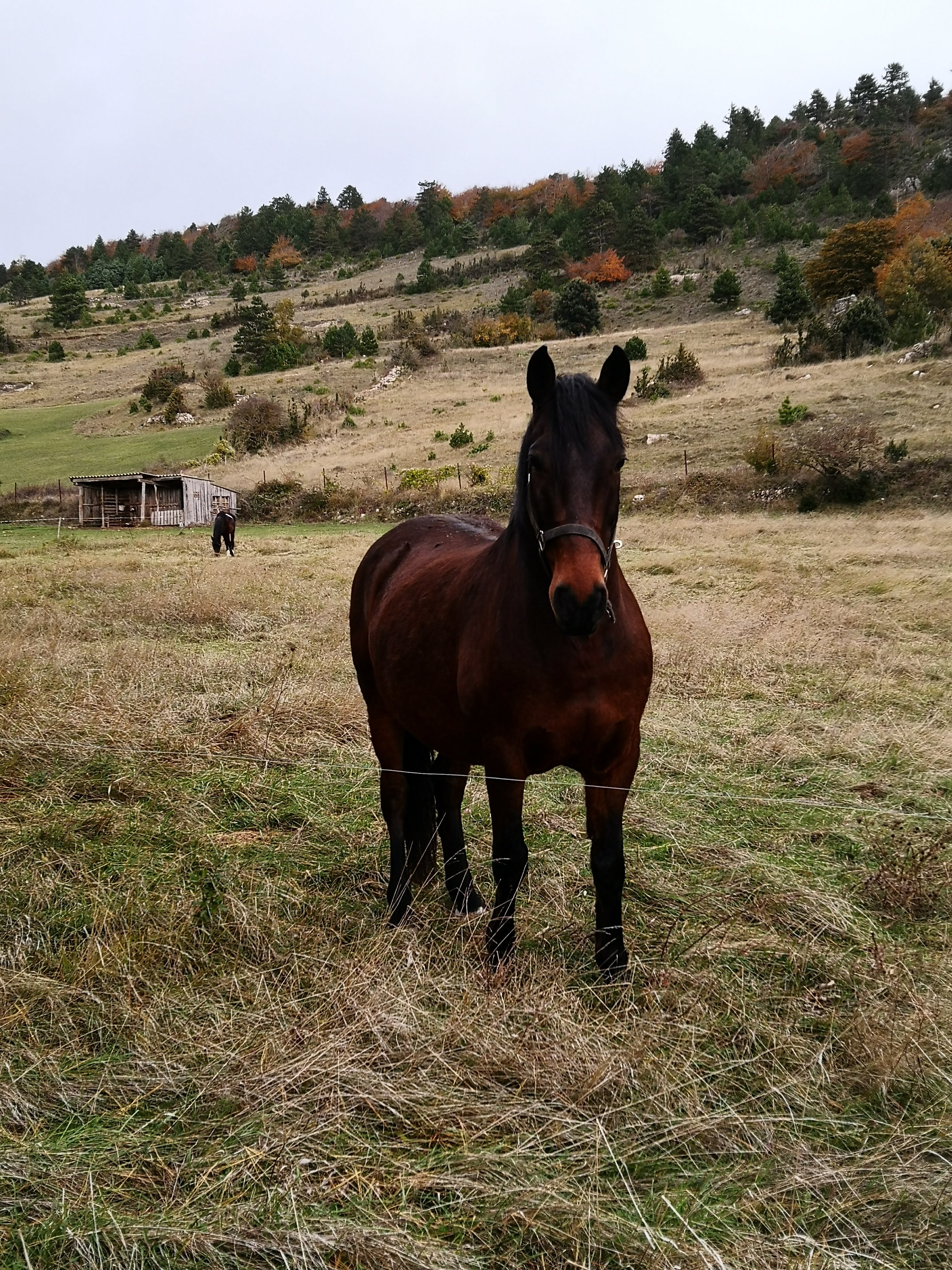 Photo n° 5 de l'avis de Montse.s fait le 21/11/2023 à 20:20