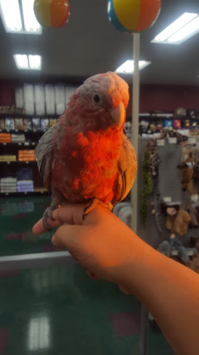 Pet Store «Petland Lewis Center», reviews and photos, 86 Meadow Park Ave, Lewis Center, OH 43035, USA