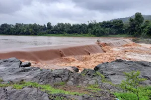 Ambika River image