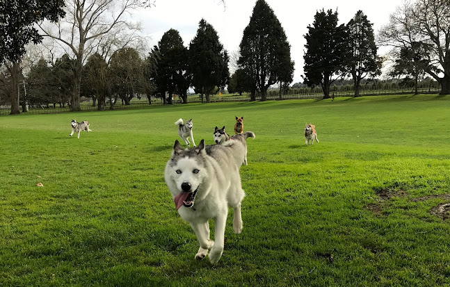 Park and dog exercise area - Hamilton
