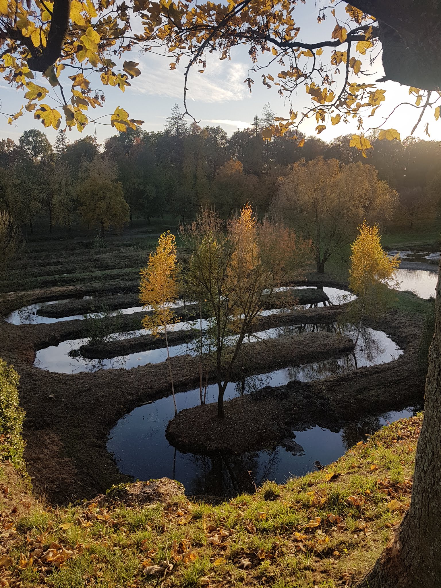 Photo n° 3 de l'avis de Castle.i fait le 09/11/2018 à 11:27