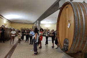 Wine Tasting - Wine Tour - Wine Shop in Tuscany Badia di Morrona image