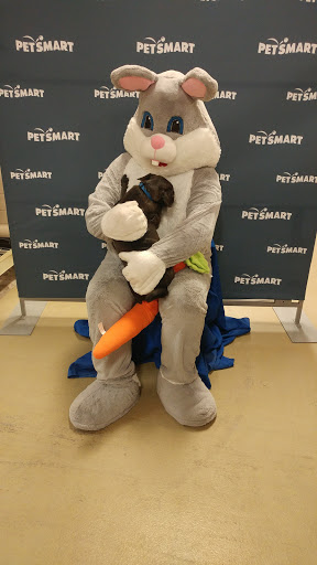 Pet Supply Store «PetSmart», reviews and photos, 1559 Merritt Blvd, Dundalk, MD 21222, USA