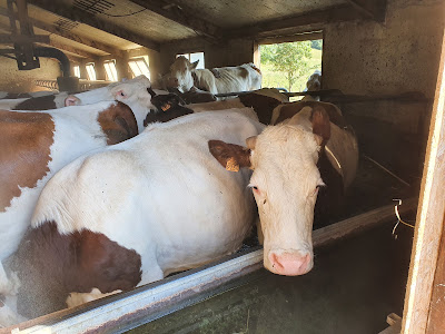 Ferme de la Bourrière à Méaudre
