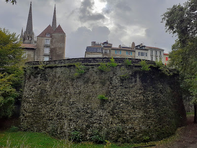 CABINET VÉTÉRINAIRE MEDICO-CHIRURGICAL DE L'ADOUR à Bayonne
