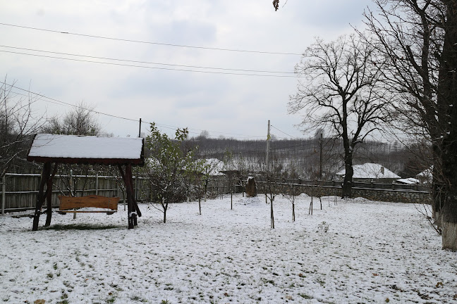 orar La Casa Boierului