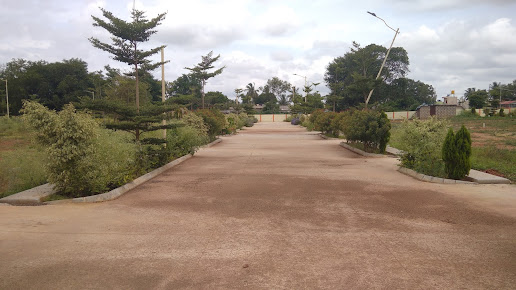 Google Maps image 18