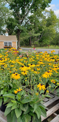 Florist «Colonial Gardens Full Service Florist & Garden Center», reviews and photos, 442 Fitchburg Turnpike, Concord, MA 01742, USA