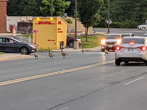 Shopping Mall «Westfield Wheaton», reviews and photos, 11160 Veirs Mill Rd, Silver Spring, MD 20902, USA