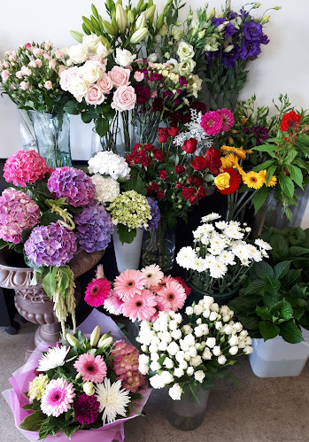 Reviews of Bethlehem Floral Studio in Tauranga - Florist