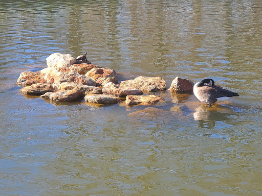 Park «Legacy Park», reviews and photos, 336 Rocky Slope Rd, Greenville, SC 29607, USA