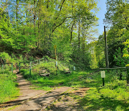 Petrikshammer Haltestelle Bergische Museumsbahn photo