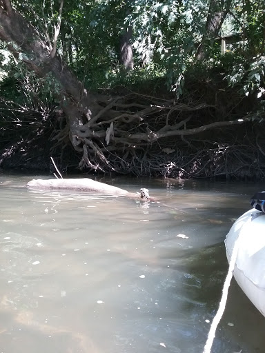 Ford Dealer «Ford Autoworld», reviews and photos, 2903 S Scatterfield Rd, Anderson, IN 46016, USA