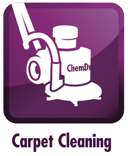 Carpet Cleaning Service «Bluegrass Chem-Dry», reviews and photos, 116 Keelridge Dr, Georgetown, KY 40324, USA