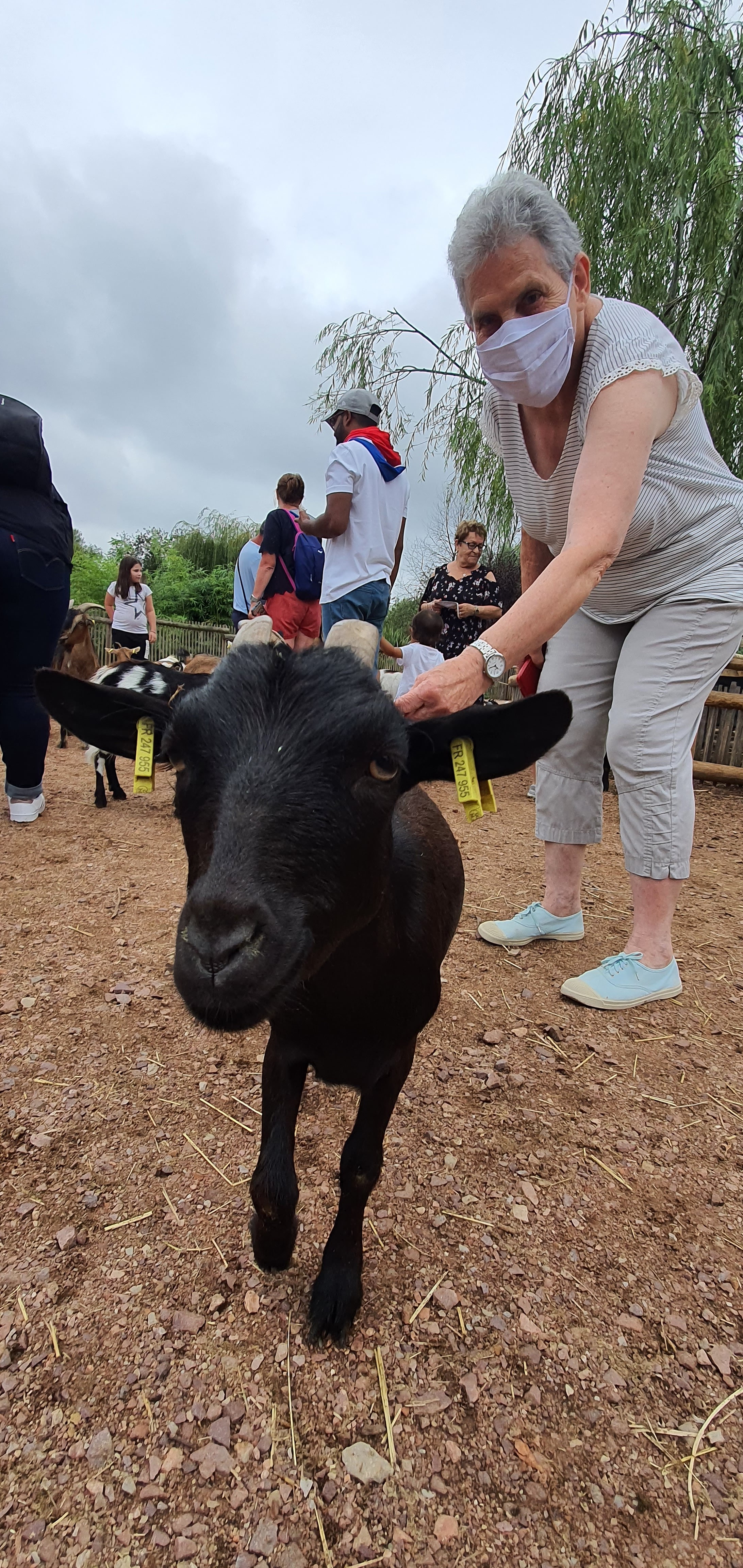 Photo n° 4 de l'avis de HELDER.E fait le 26/08/2020 à 17:41