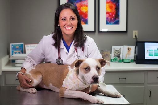 Patton Chapel Animal Clinic image