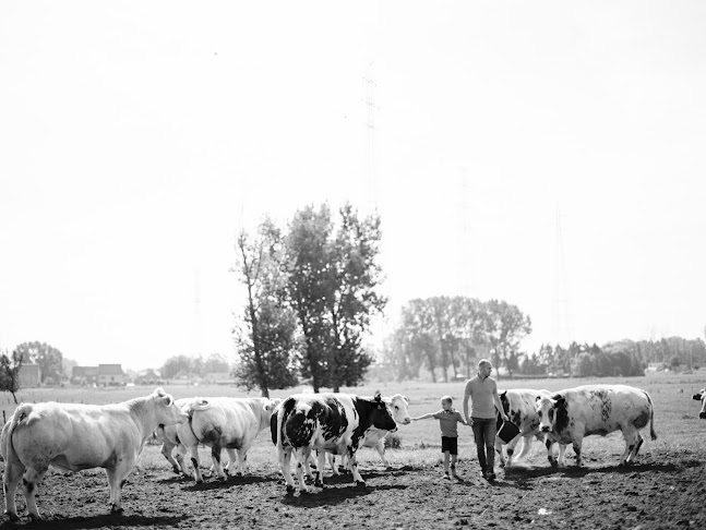 Beoordelingen van Neerkouter Hoevevlees in Sint-Niklaas - Slagerij