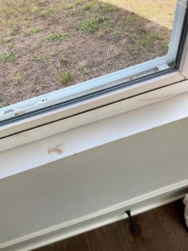 House Cleaning Service «Maid in Raleigh», reviews and photos, 112 S Blount St #101, Raleigh, NC 27601, USA