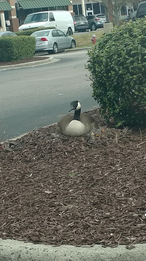 Movie Theater «Raleigh Grande 16», reviews and photos, 4840 Grove Barton Rd, Raleigh, NC 27613, USA