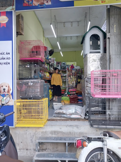 Shop Chó Mèo - Huế