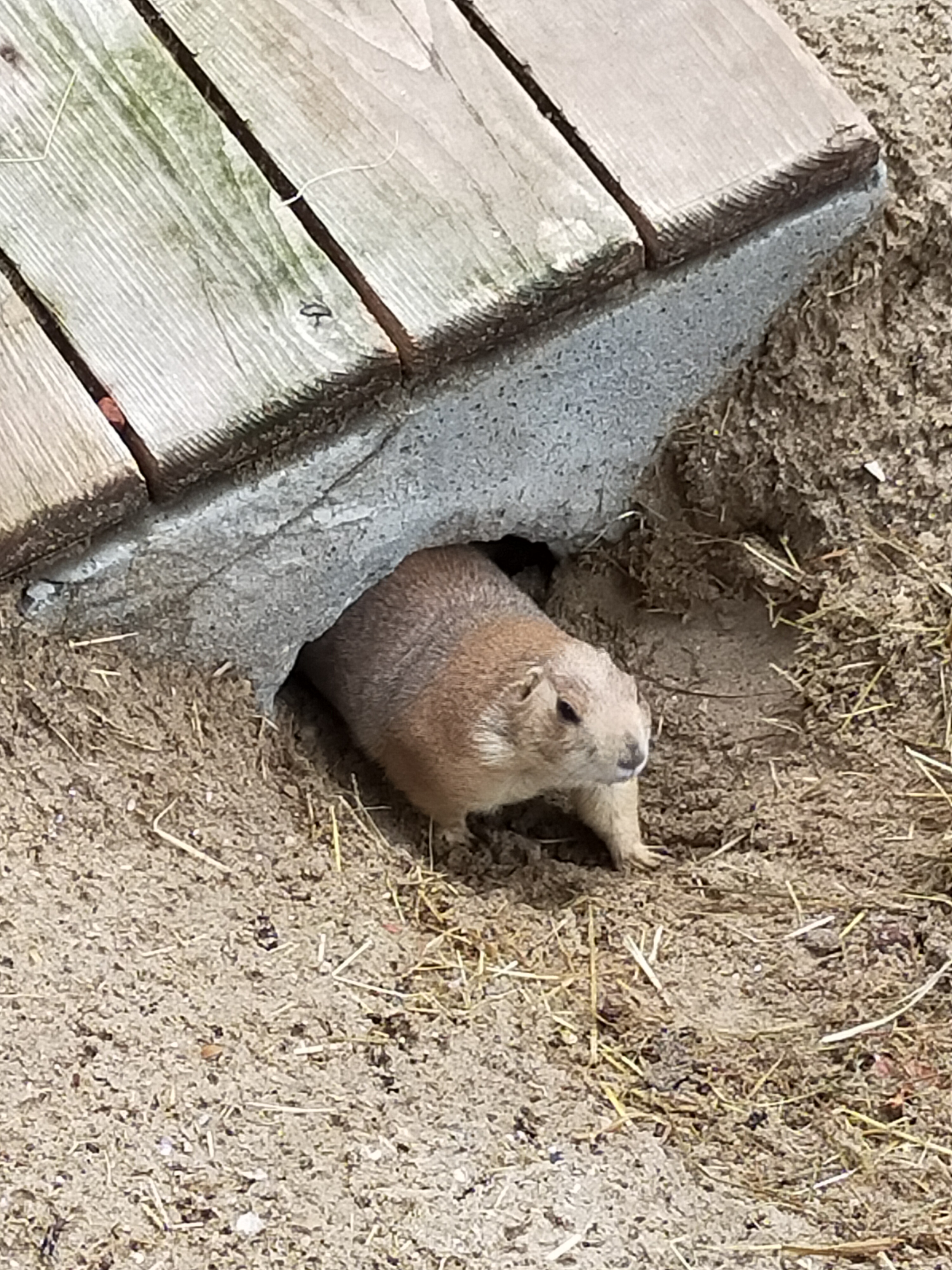 Photo n° 8 de l'avis de Fabrice.h fait le 25/08/2023 à 14:22
