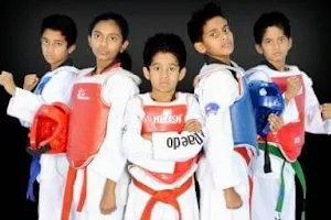 Warriors Taekwondo and Fitness Academy image