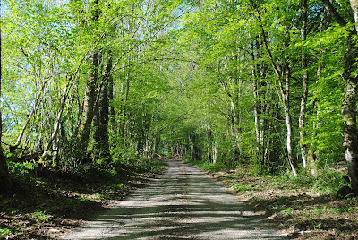 Morvan Terroirs à Saint-Brisson