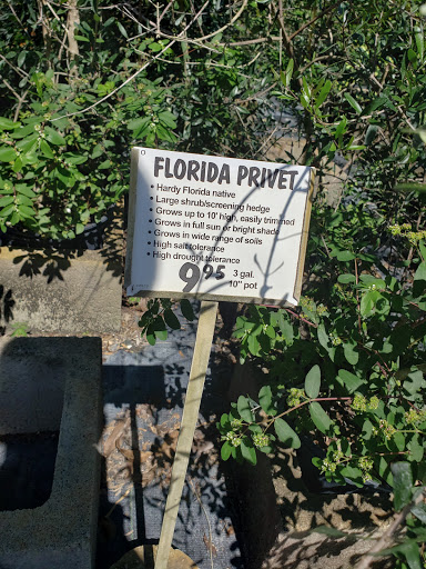 Florist «Weatherbee Nursery», reviews and photos, 701 E Weatherbee Rd, Fort Pierce, FL 34982, USA