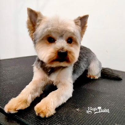 Imagen de GarbiTxakur Sarriko. Peluquería canina, felina y autolavado de mascotas