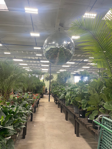 Terra Bella Nursery, Inc. image